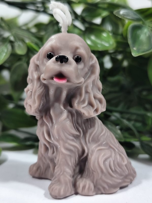 Vela Perrito Cocker Spaniel