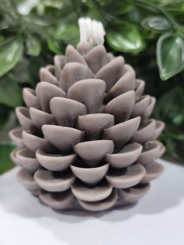 Vela Piña Navideña