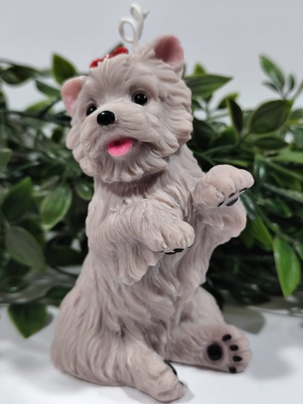 Vela Perrito Yorkshire