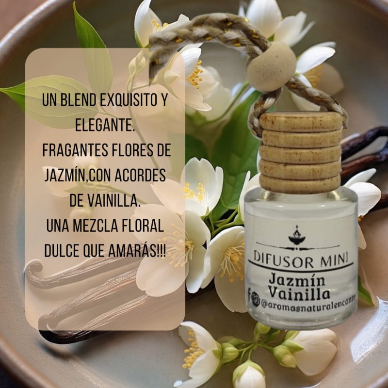 Difusor Mini Jardín Secreto