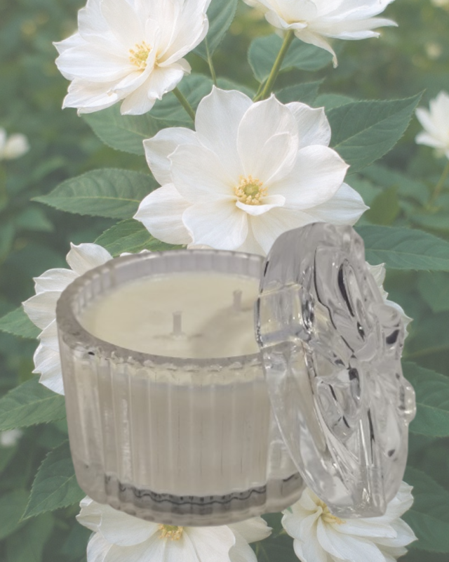 Vela Aromática vidrio