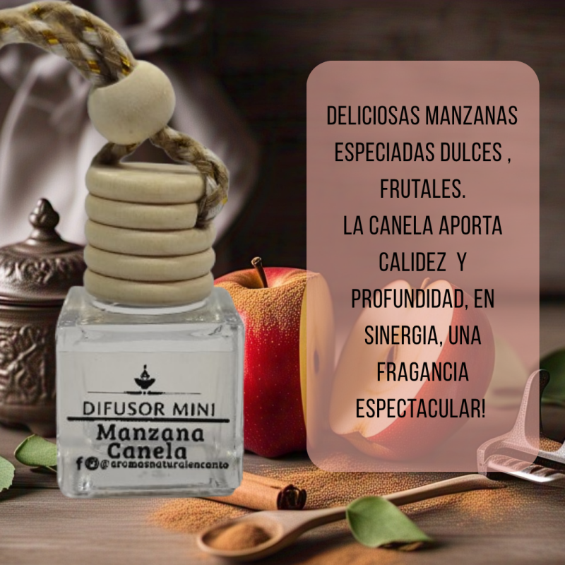 Difusor Mini para Auto