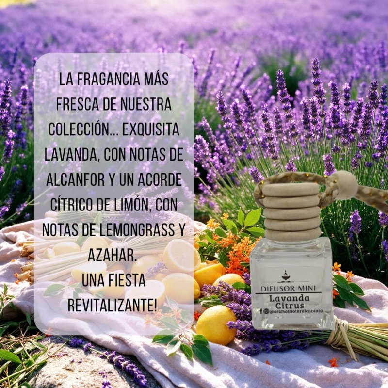 Difusor Mini para Auto Lavanda Citrus