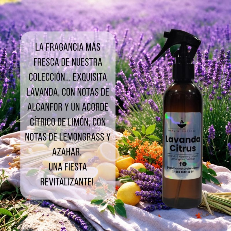 Home Spray Lavanda Citrus