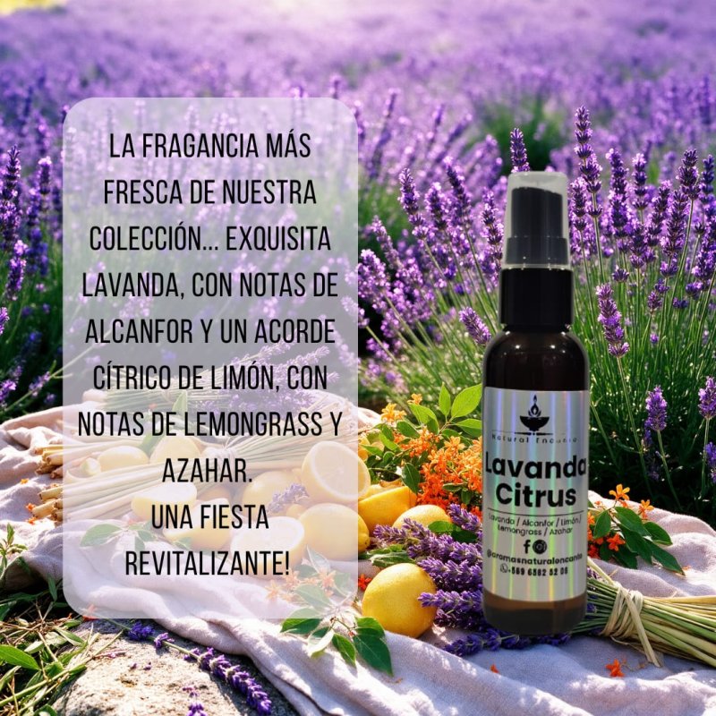 Home Spray Mini Lavanda Citrus