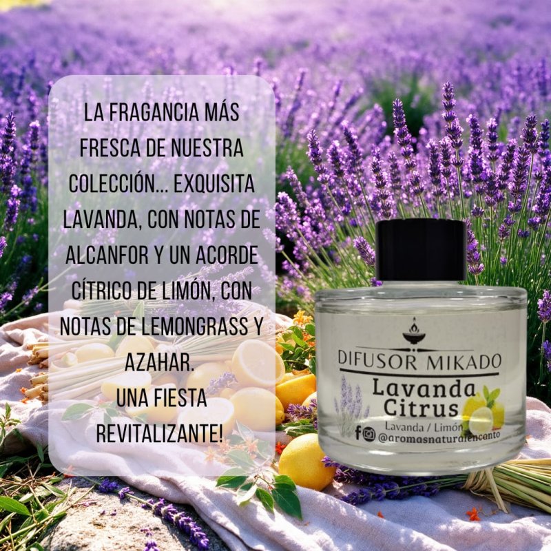 Difusor Mikado Lavanda Citrus 100ml