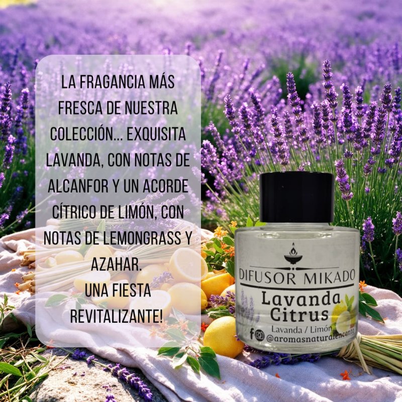 Difusor Mikado Lavanda Citrus 50 ml